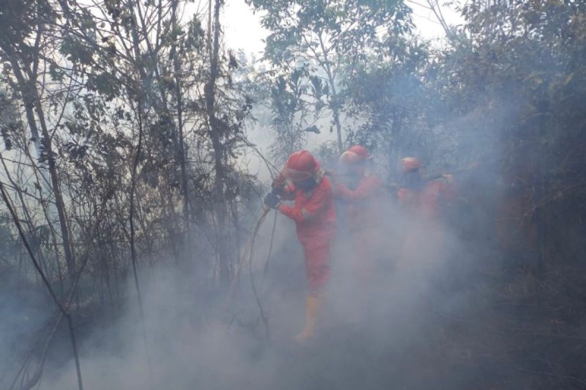 Dua helikopter pengebom air dikerahkan padamkan karhutla di OKI