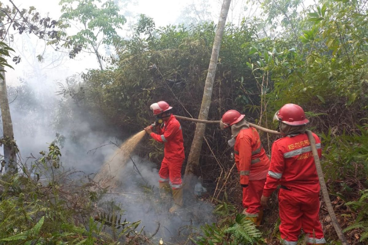 BPPIKHL sebut 750,83 hektare lahan terbakar di Sumsel sepanjang 2024