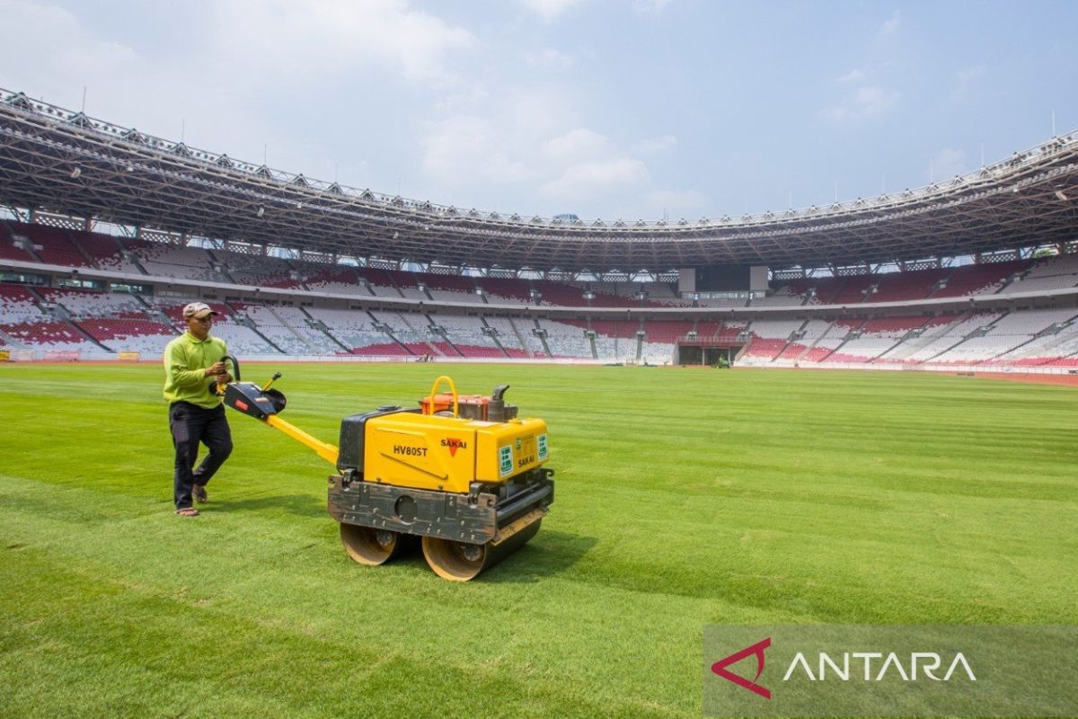 GBK siapkan rumput terbaik untuk laga Indonesia vs Australia