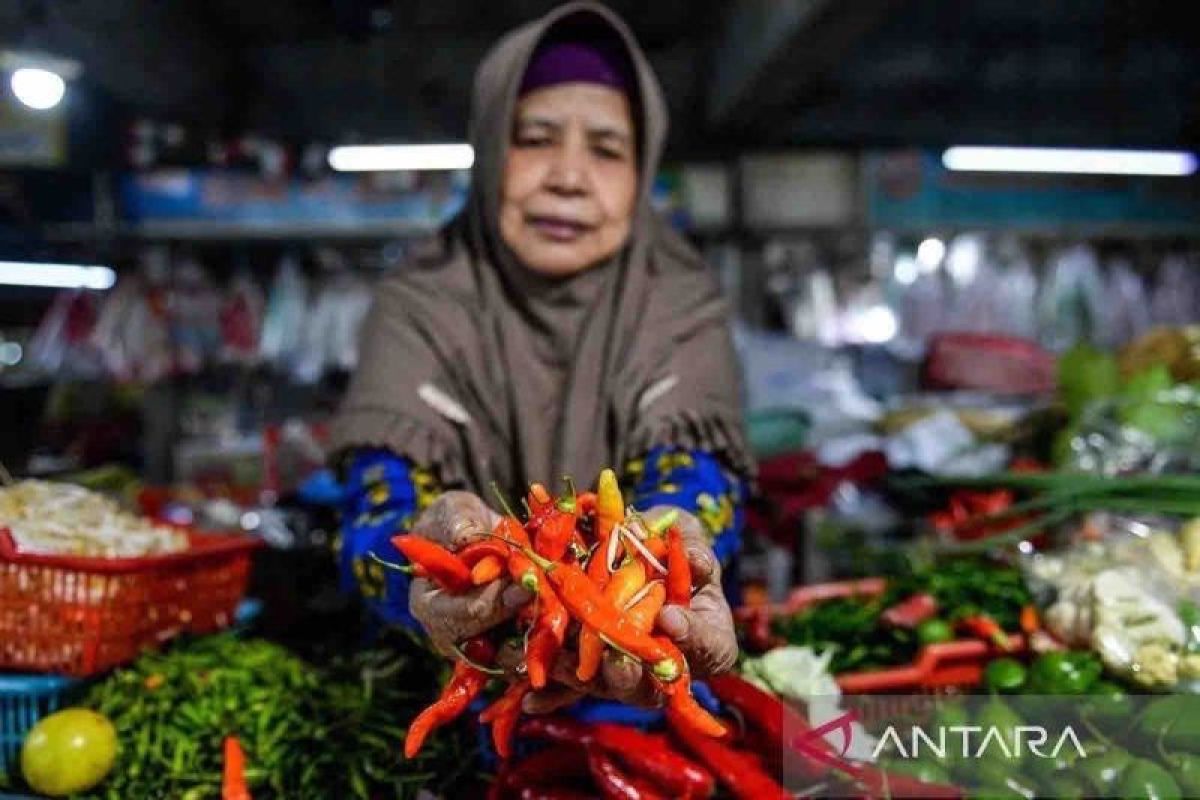 Harga cabai dan bawang masing-masing alami penurunan dan kenaikan, berikut daftar harga pangan hari ini