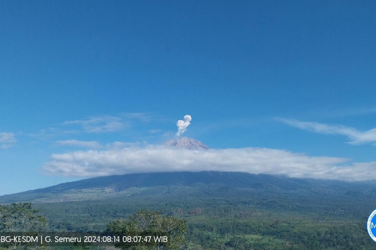 Gunung Semeru mengalami erupsi beberapa kali dengan tinggi letusan hingga 800 meter