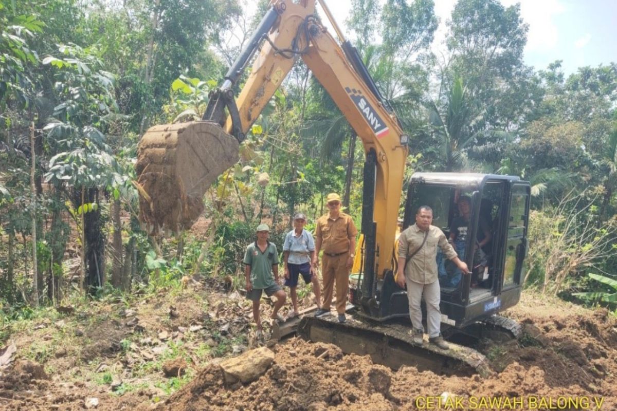 Dinas Pertanian Kulon Progo mencetak sawah baru 4,7 hektare di Banjarsari