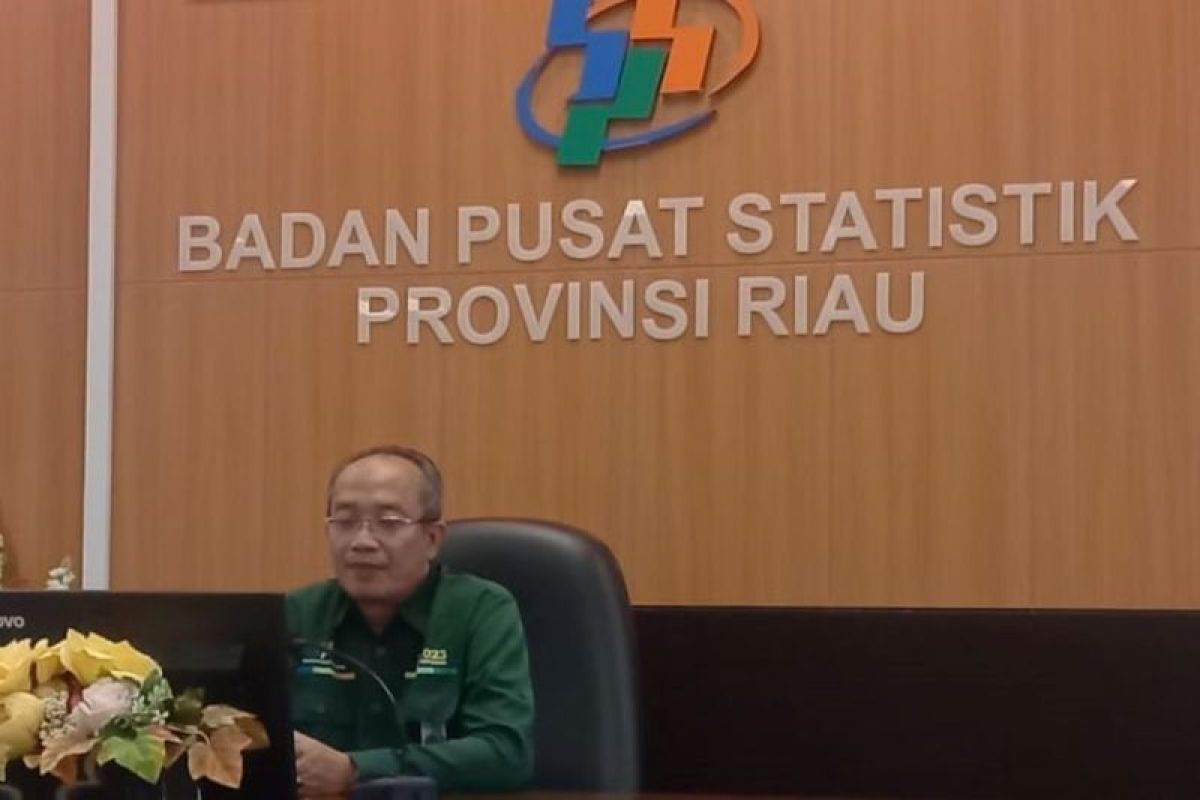 BPS sebut: penduduk usia kerja Riau naik 82.460 orang