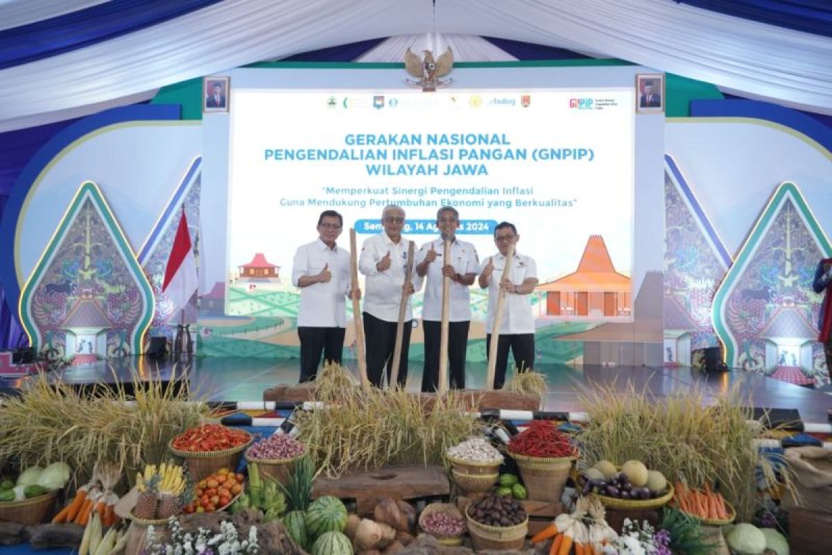 Fokus digitalisasi, BI kendalikan inflasi lewat Senopati dan Semar