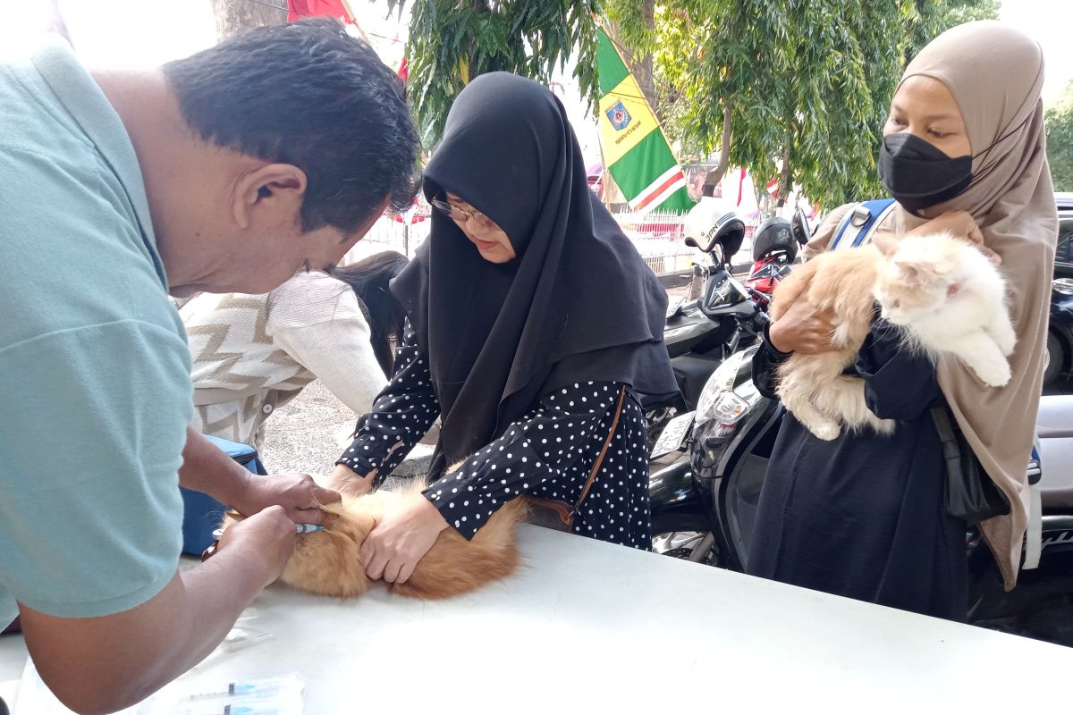 Distan beri vaksin rabies gratis kucing peliharaan di Mataram