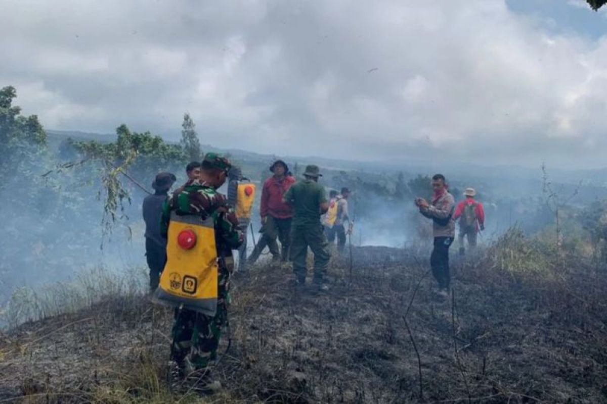 TNGR: Kebakaran kawasan hutan di Rinjani Lombok Timur padam