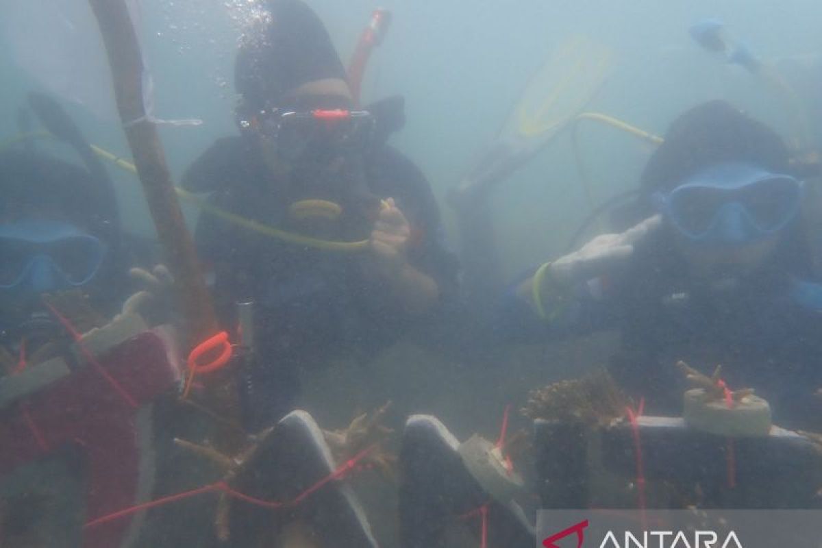 ANTARA Babel sukses kibarkan bendera di perairan Pulau Putri