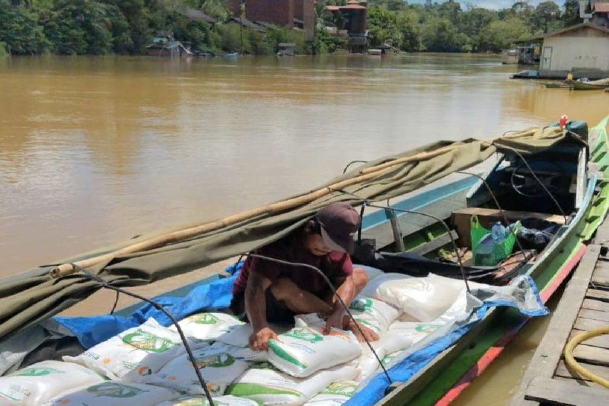 Merindu Si "Api Biru" Merata di Tumbang Gagu