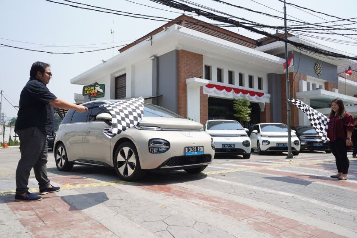 Mobil listrik di bawah Rp400 juta ini cocok keluarga