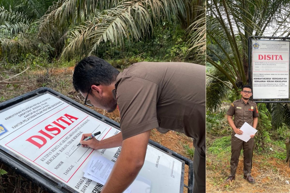 Pajak Bangkinang sita kebun sawit aset penunggak pajak membandel