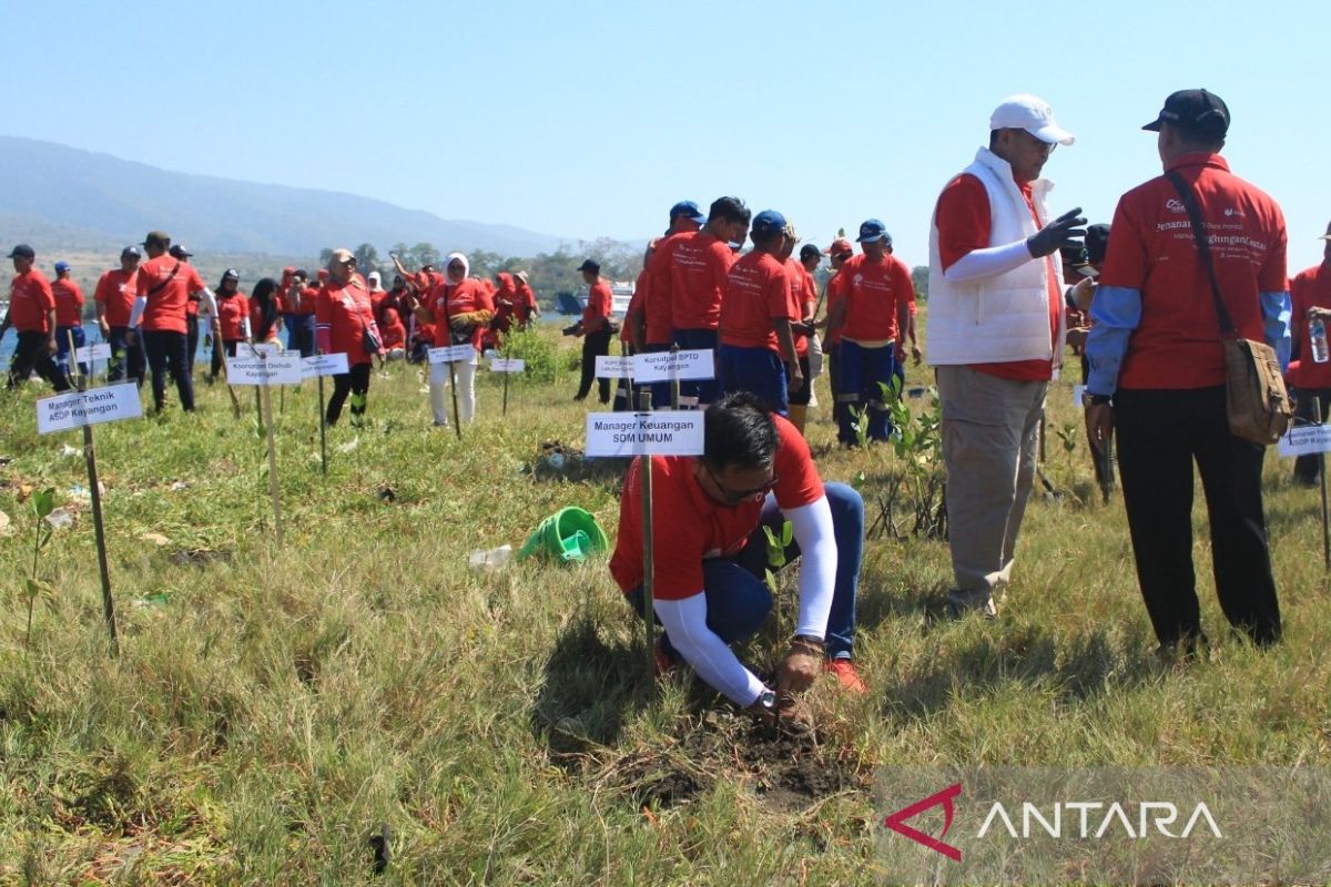 ASDP menanam 2.000 pohon di Lombok Timur dukung dekarbonisasi