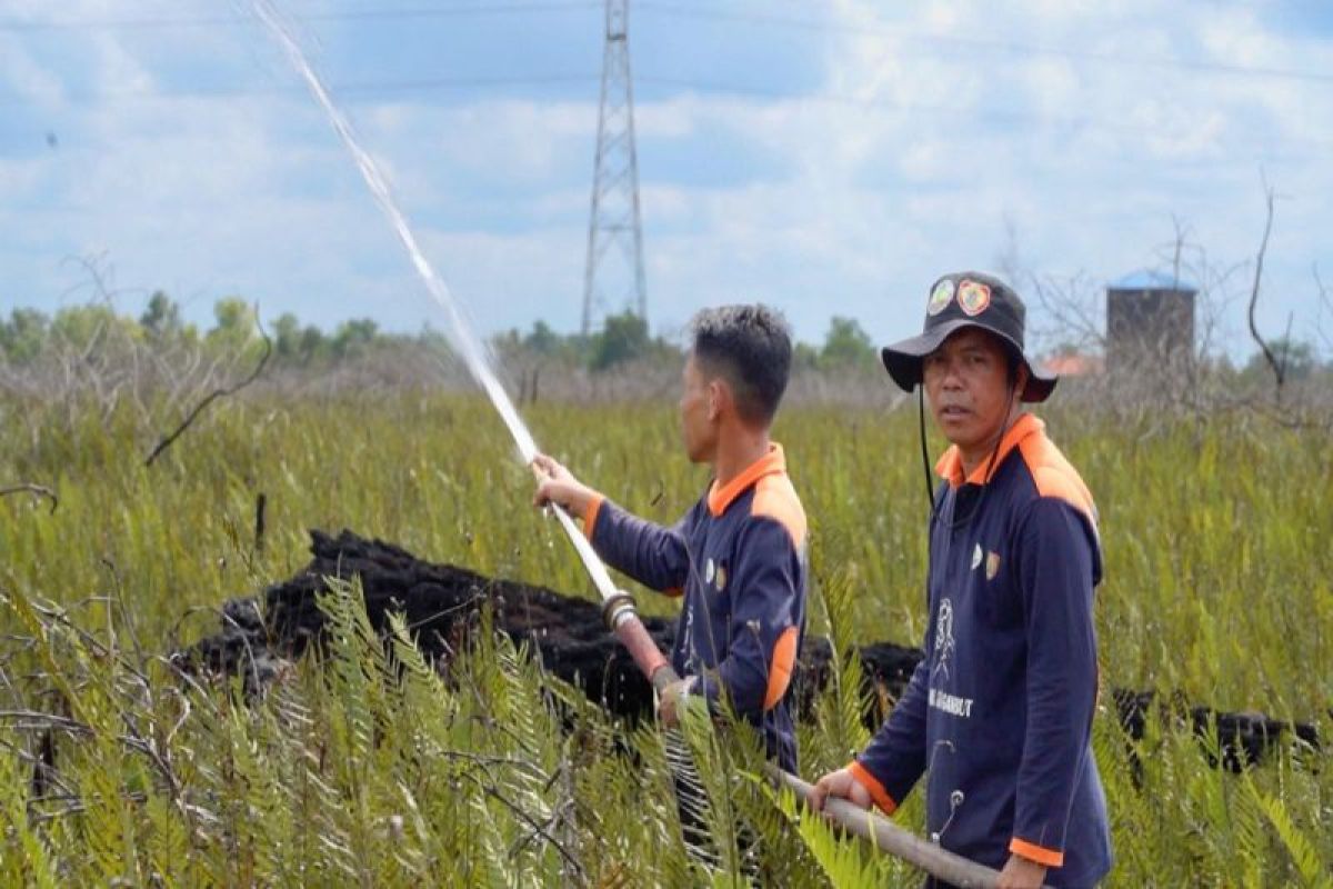 BRGM perkuat peran masyarakat program dalam upaya pemulihan ekosistem di lahan gambut