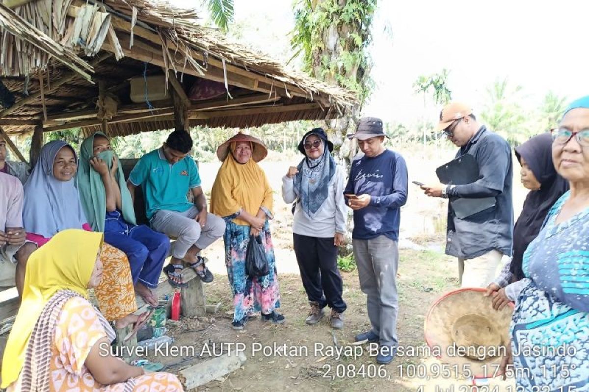 Dinas Pertanian Pessel survei lahan pertanian yang masuk usulan AUTP