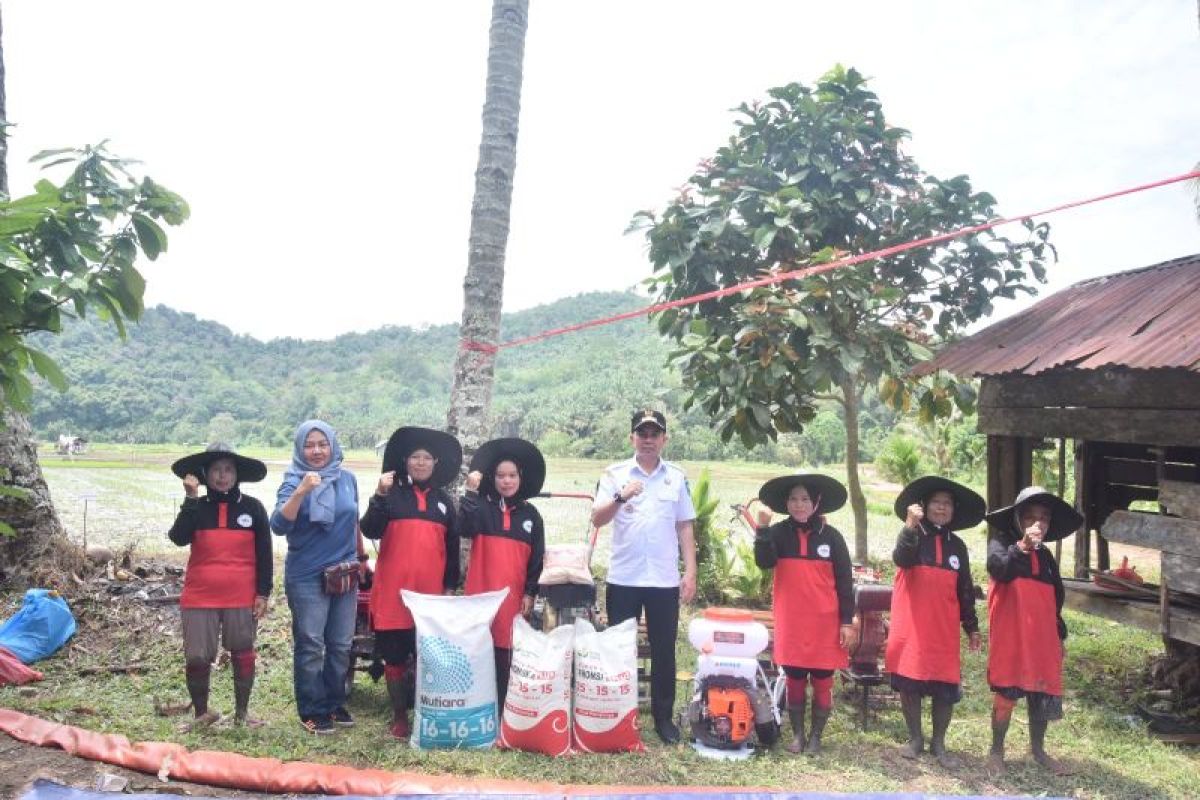 Pemkot Sawahlunto bantu pupuk dan benih untuk kelompok tani terdampak banjir