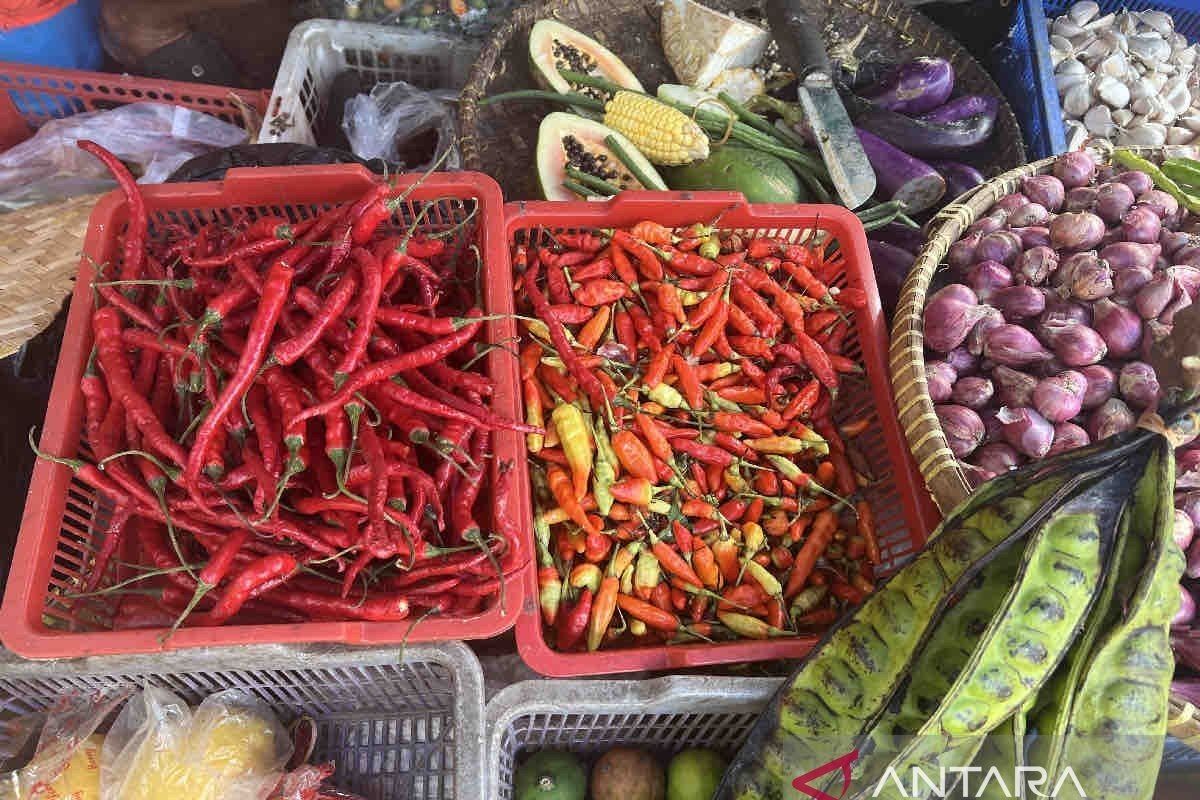 Bapanas sebut harga cabai rawit merah turun jadi Rp58.460 per kg