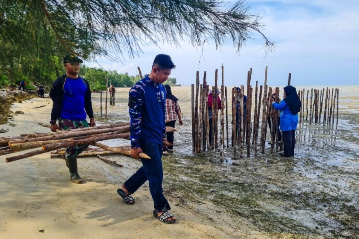 Lanud RSA Natuna Kepri percepat penanaman 50 ribu mangrove