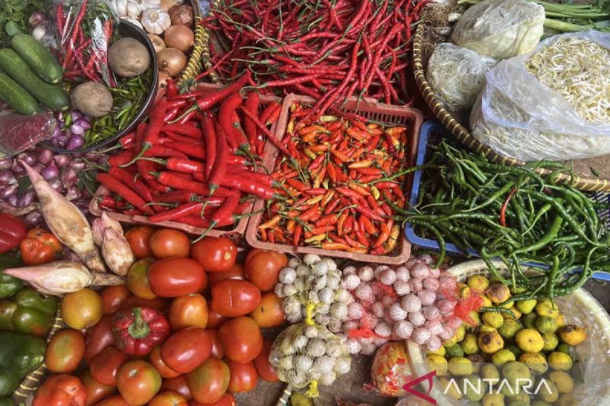 Harga pangan hari ini, cabai rawit turun Rp2.250 menjadi Rp56.790 per kg