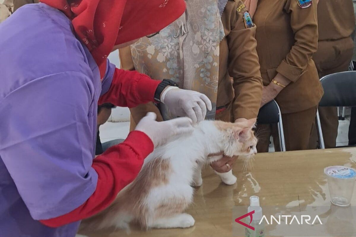 Pemkab Lampung Selatan gelar vaksinasi gratis bagi hewan penular rabies