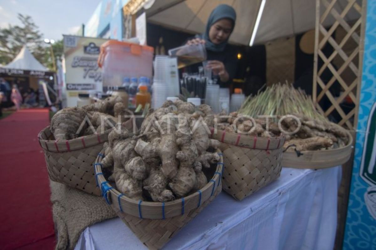 Peneliti BRIN ungkap khasiat ramuan tradisional Madura untuk kesehatan perempuan