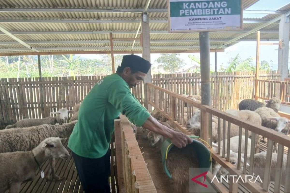 Balai  ternak Baznas RI wujudkan kedaulatan pangan