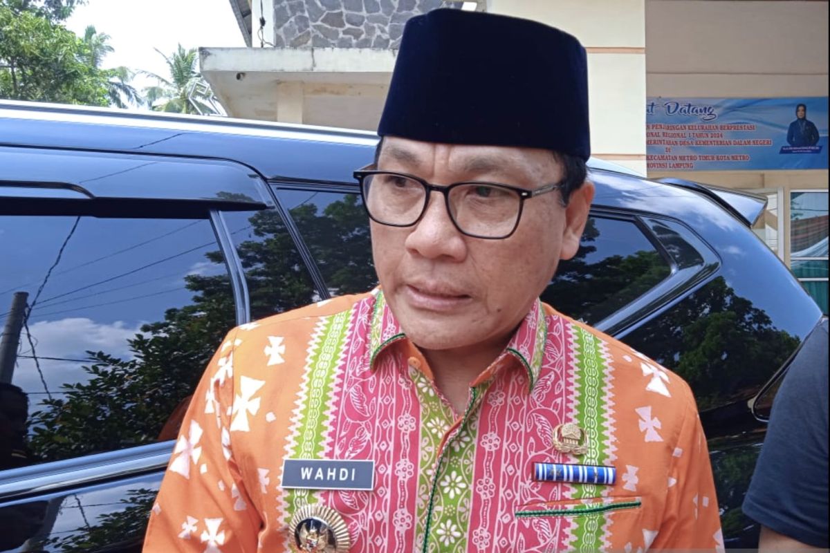 Belum umumkan balon wakil, Wahdi: tunggu saja