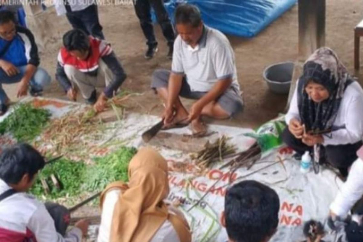 DTPHP Sulbar bina petani kembangkan pupuk organik