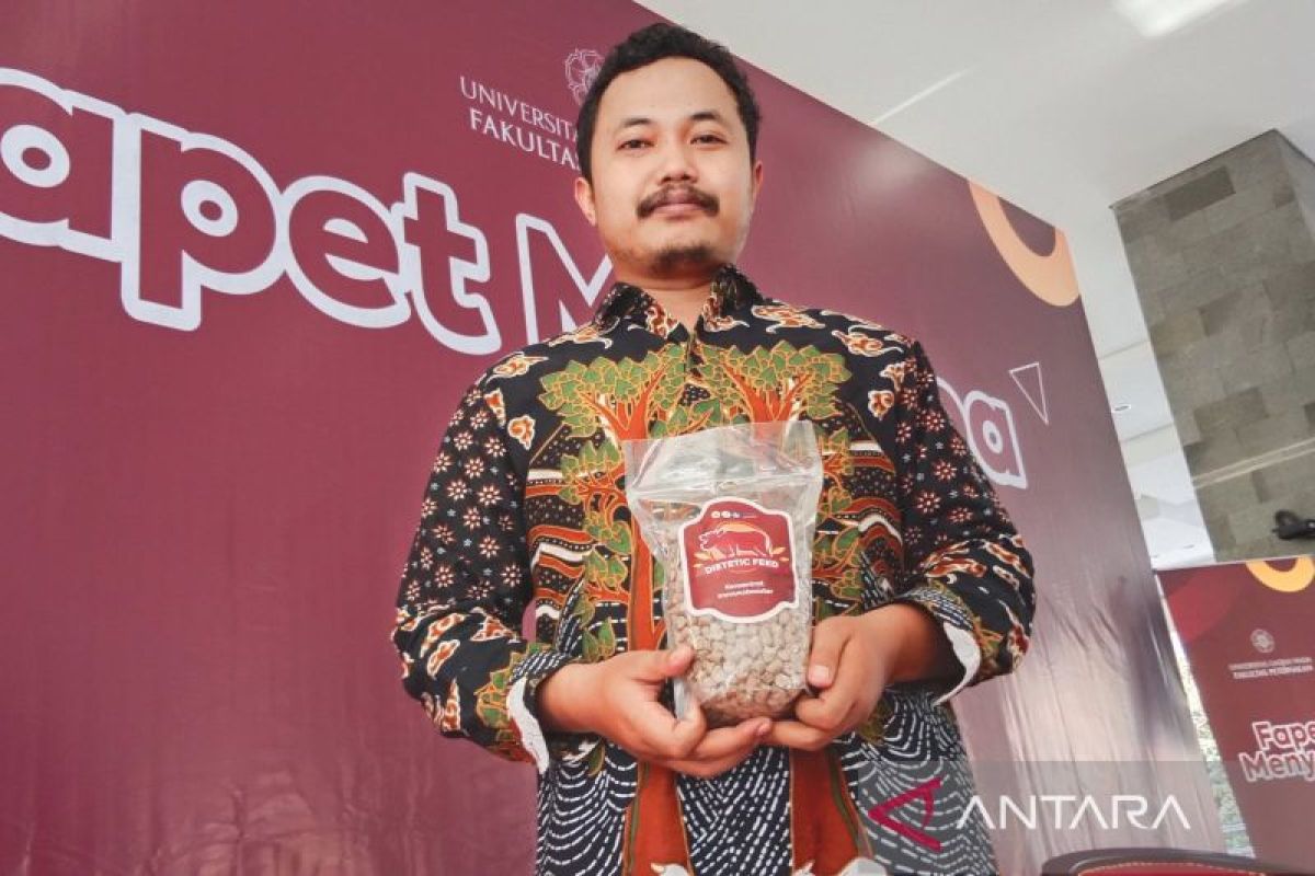 Fapet UGM menciptakan teknologi pakan sapi perah tingkatkan nutrisi susu