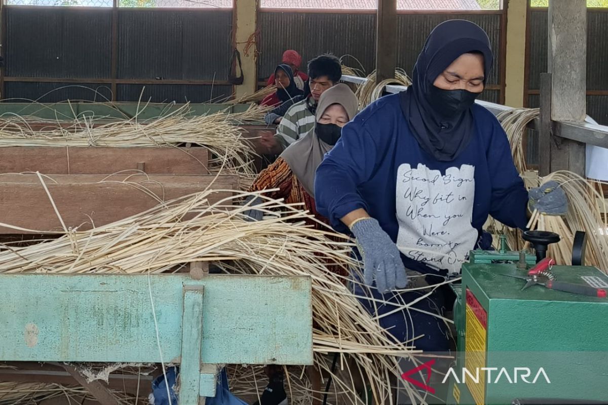 Pertanian organik akselerasi pemajuan industri agro