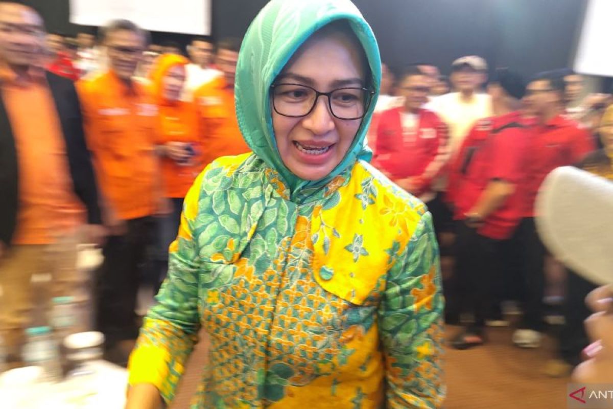 Airin Rachmi tak dapat dukungan Golkar pada Pilgub Banten