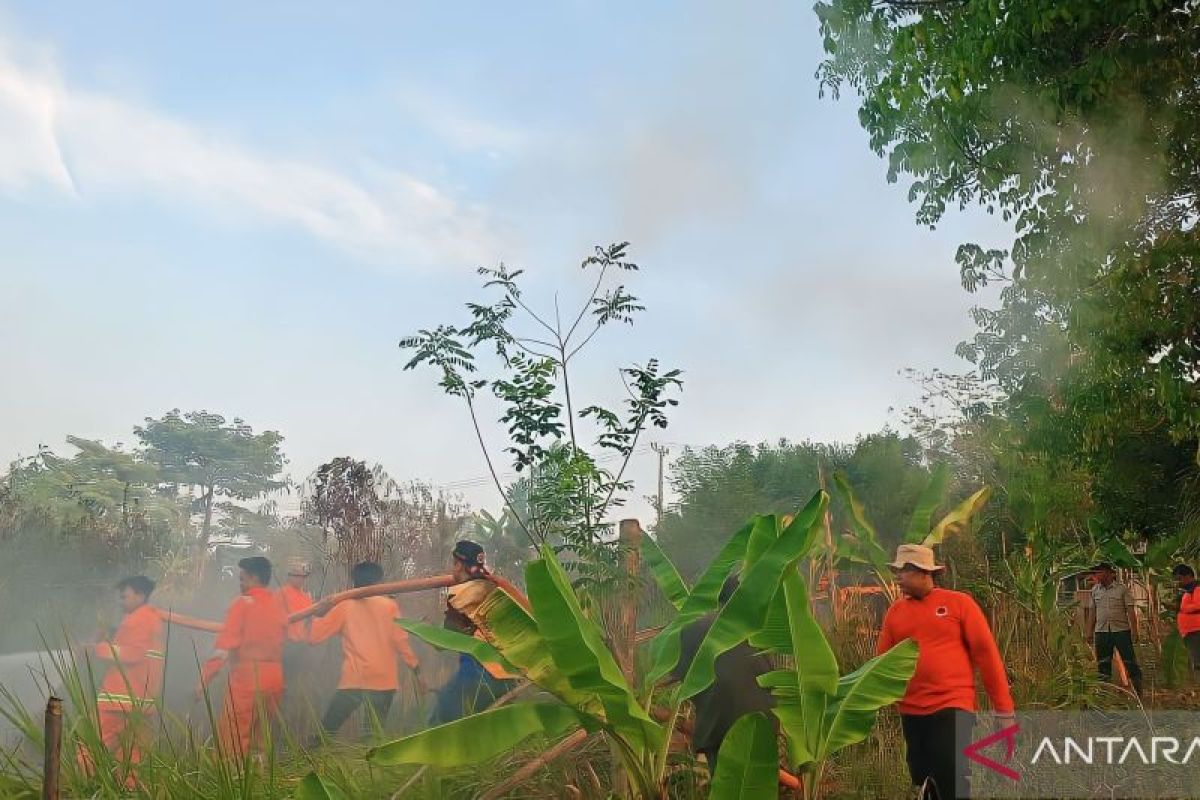 BPBD OKU atasi 11 kasus karhutla  selama kemarau