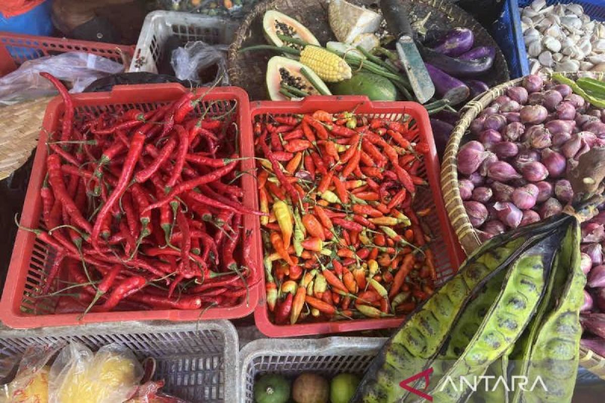 Harga pangan dan bahan pokok hari ini mayoritas turun, cabai rawit jadi Rp52.900 per kg