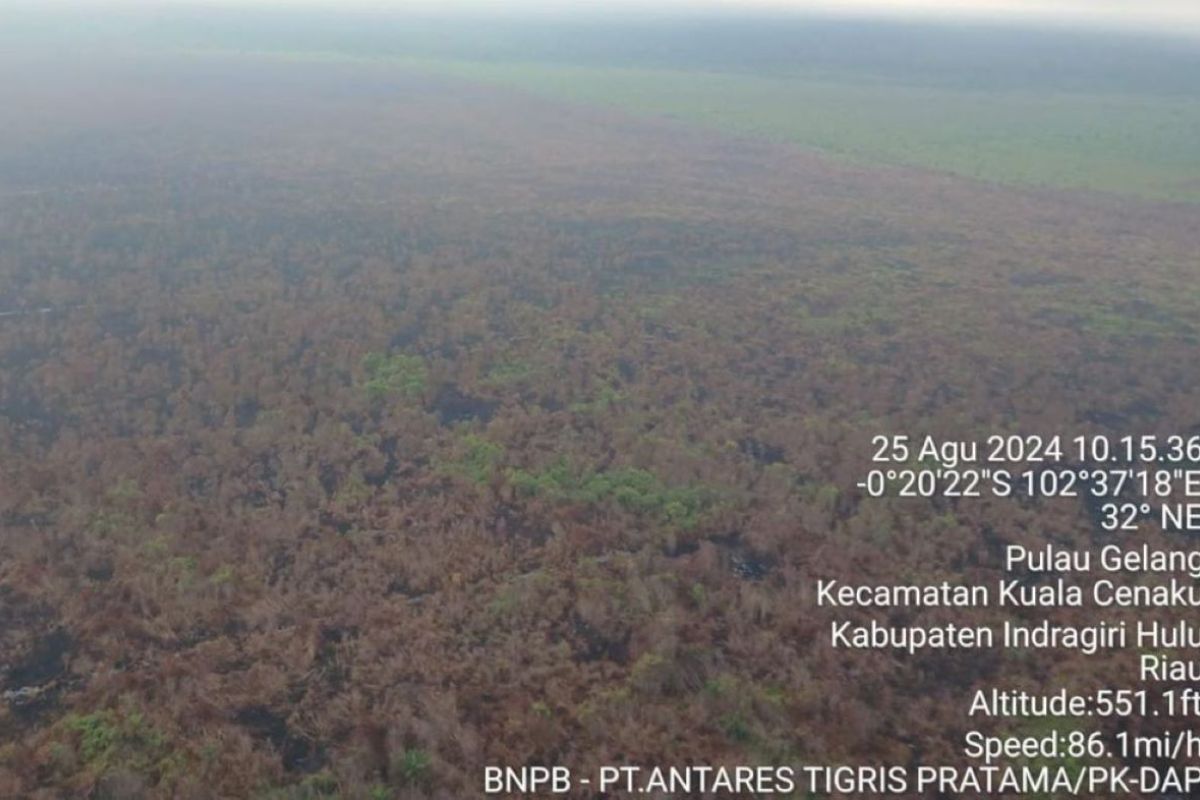 Petugas gabungan di Riau padamkan api di Kuala Cenaku