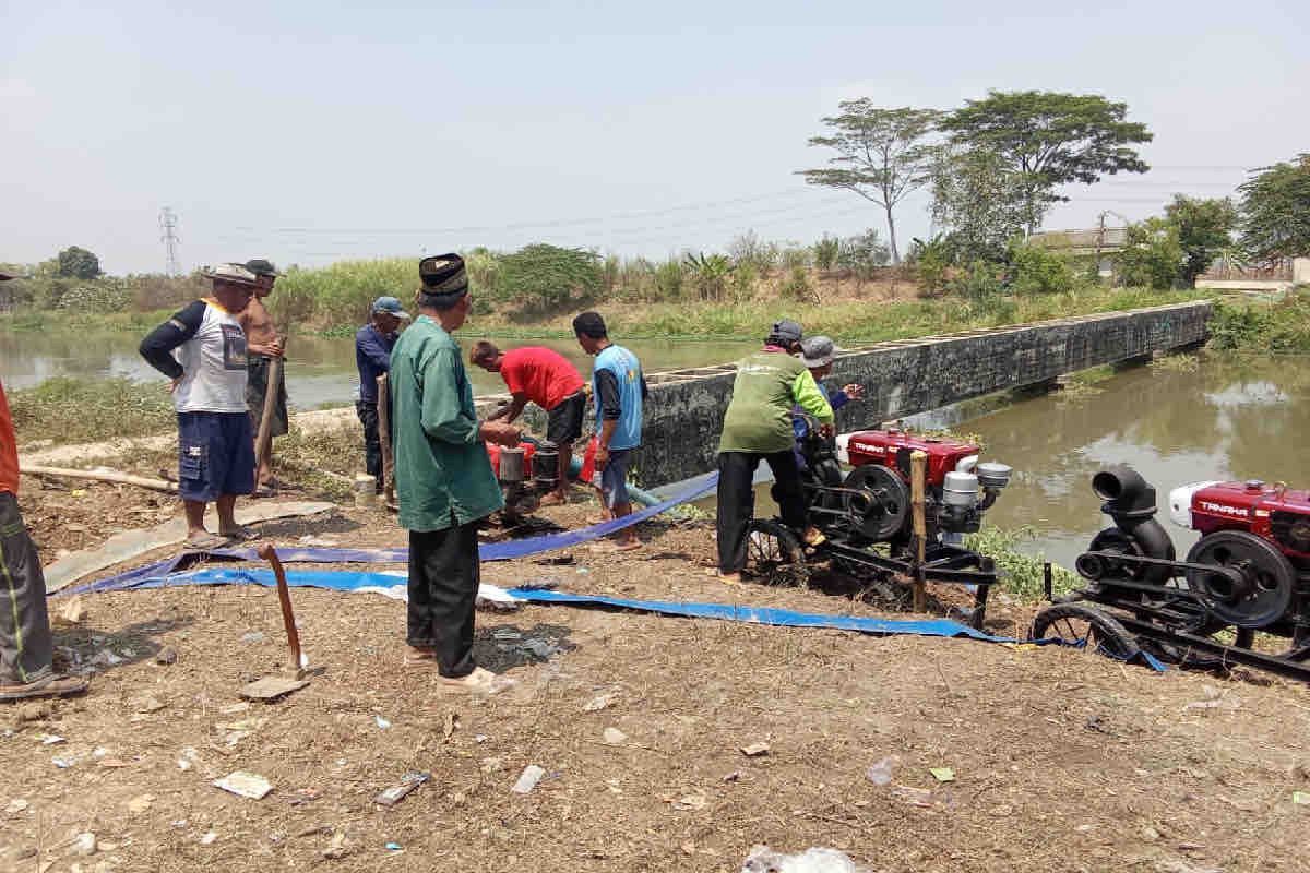 Kementan-Pemkab Subang gerak cepat pasang pompa petani