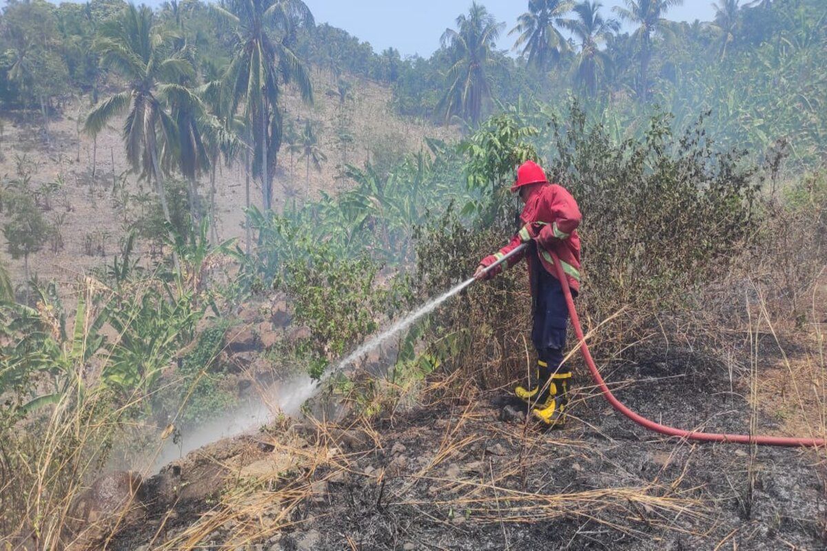 Musim kemarau, Damkarmat Lamsel minta warga waspadai kebakaran hutan