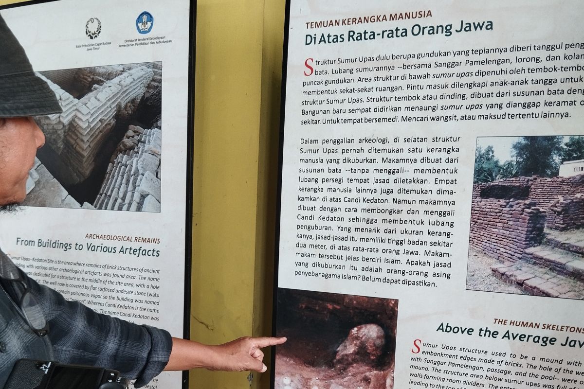 Balai Kebudayaan Jatim menelusuri DNA kerangka manusia Majapahit