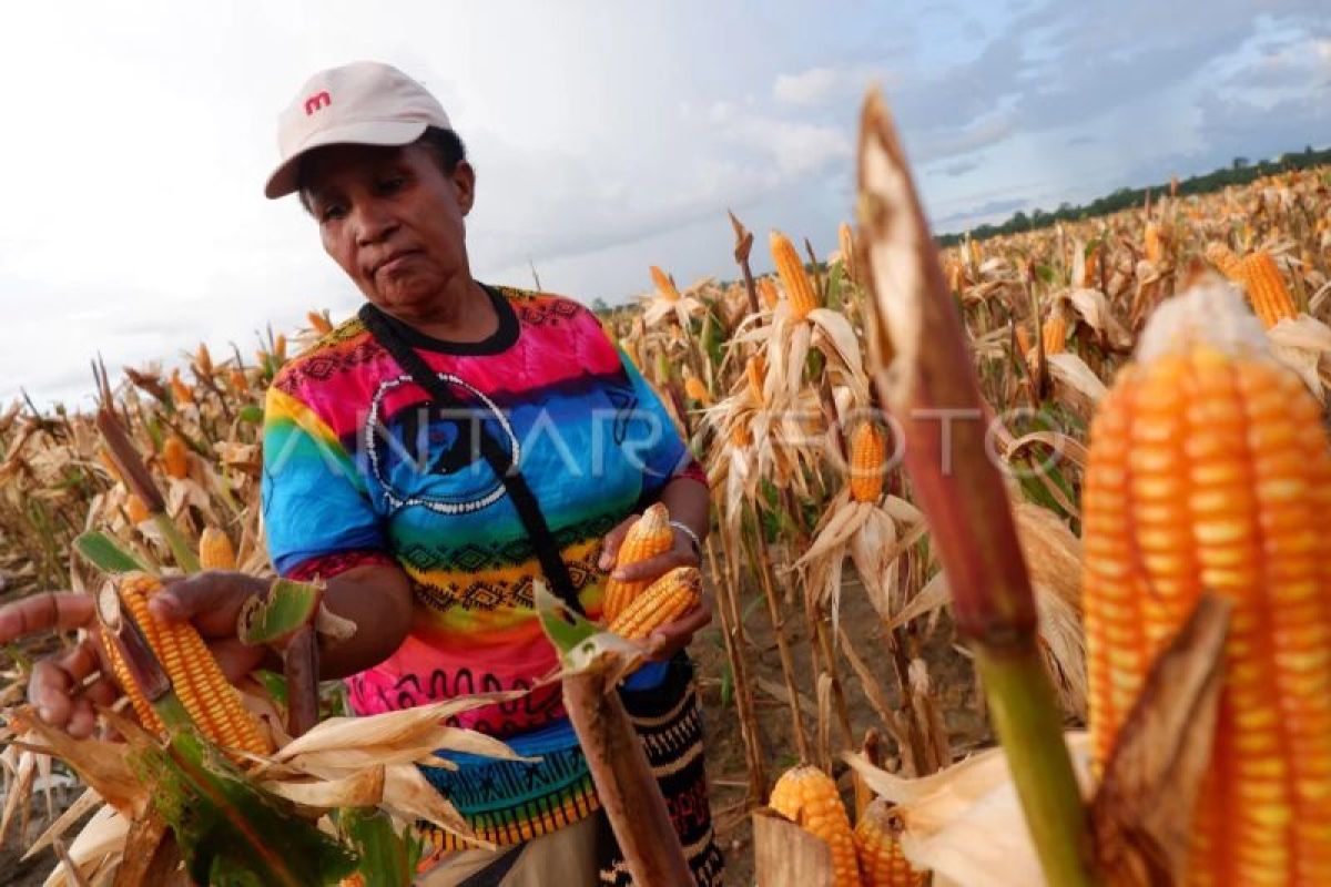 Usulan tambahan anggaran Rp68 triliun Kementan jadi bebani fiskal