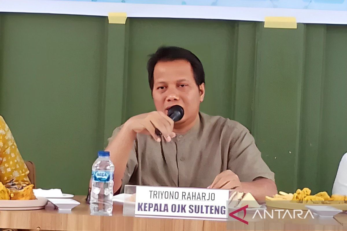 OJK mencatat kinerja keuangan Sulteng tumbuh positif hingga triwulan II 2024