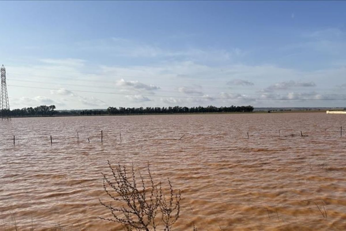 Sedikitnya170 orang tewas di Nigeria akibat banjir