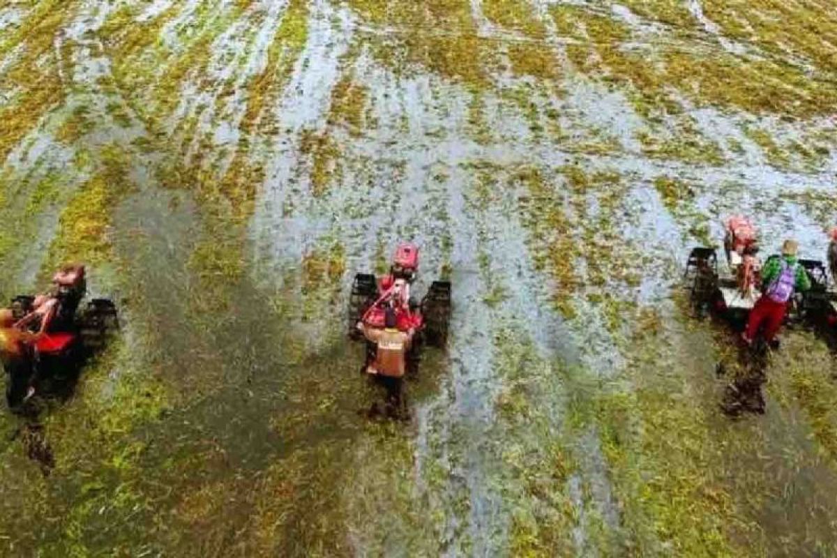 Kementan memastikan pengadaan alat dan mesin pertanian transparan