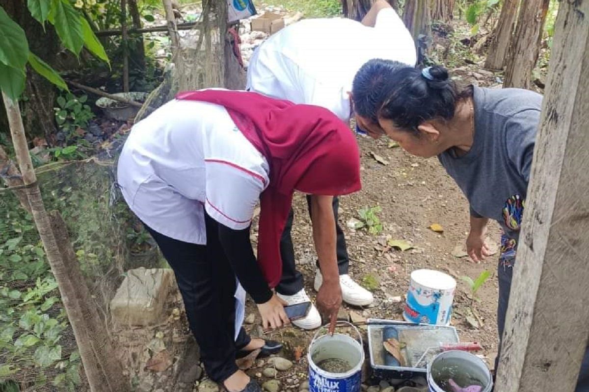 Puskesmas Pesisir Selatan lakukan Survei Vektor DBD dan PSN