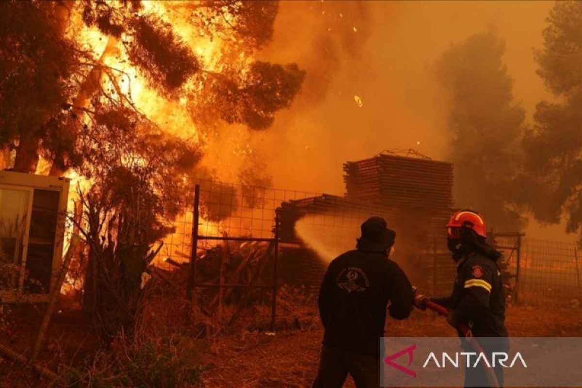 Perubahan iklim memperparah kebakaran hutan di wilayah Mediterania timur