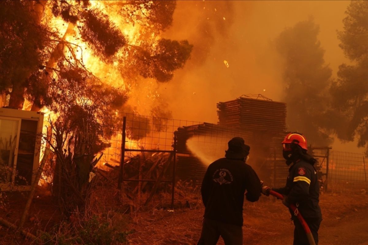 Perubahan iklim perparah kebakaran hutan di Mediterania timur