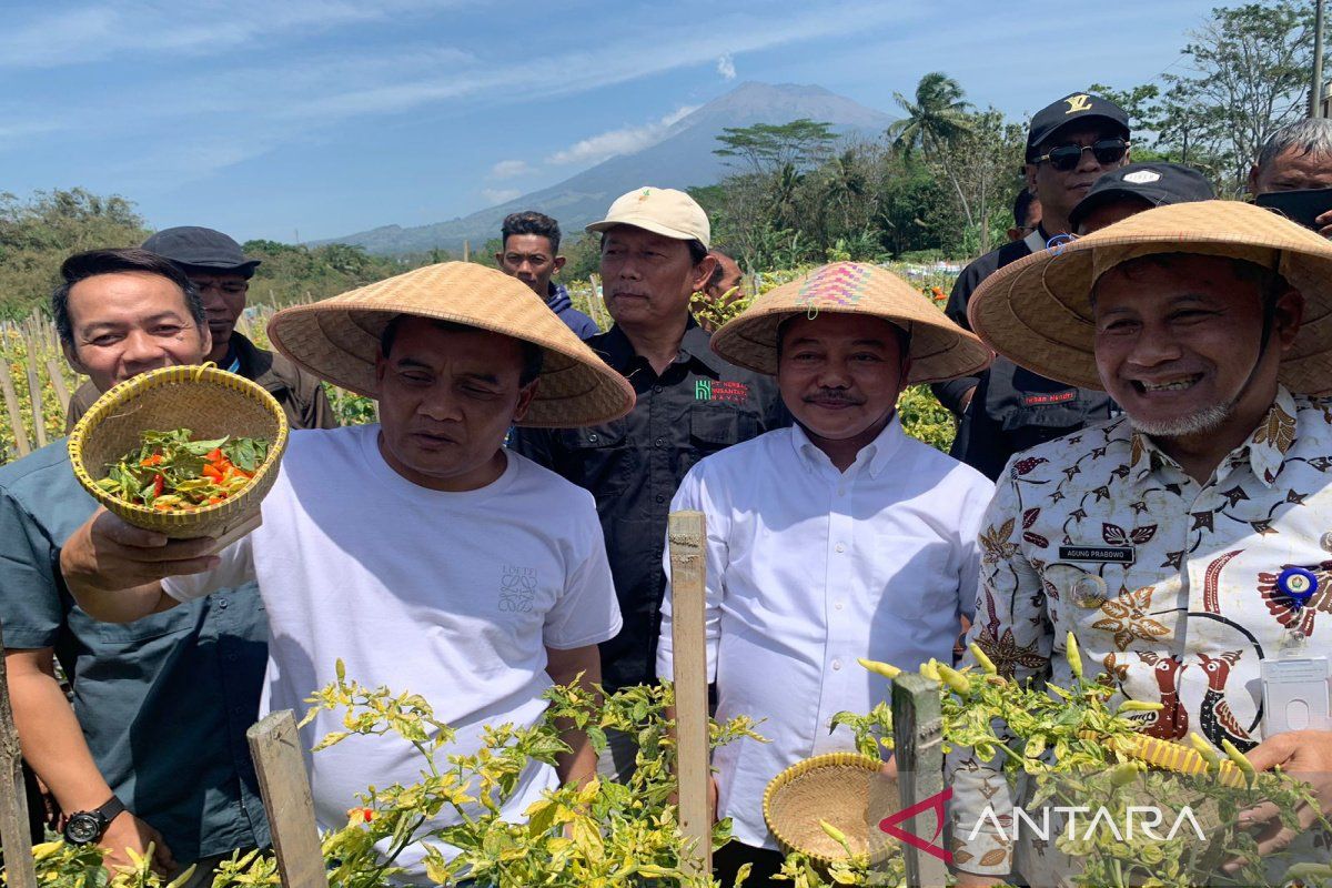 Ahmad Luthfi panen raya cabai di Temanggung