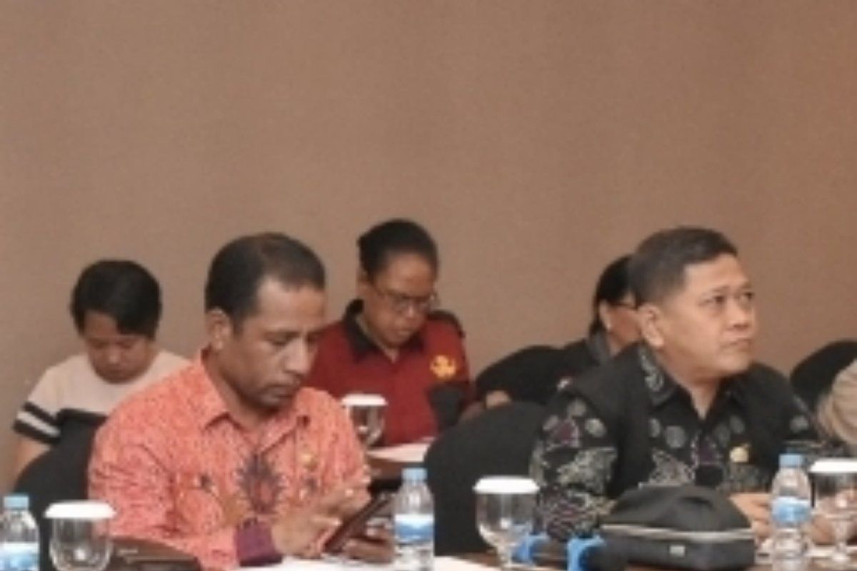 Pemkab: Realisasi DAK Biak Numfor sebesar Rp16,5 miliar