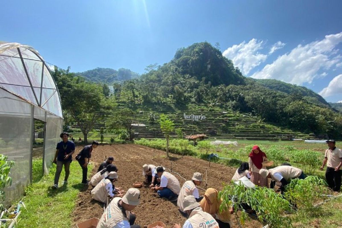 JIEP berhasil raih penghargaan tertinggi sistem keselamatan kerja