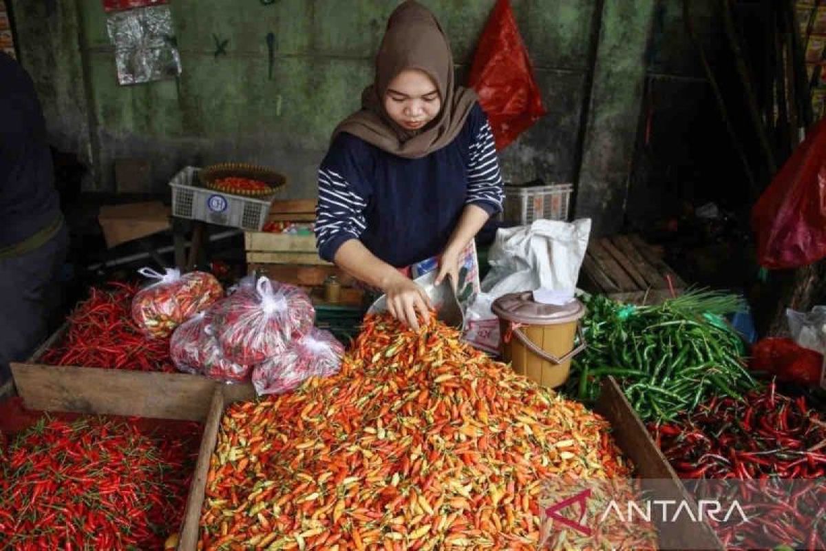 Harga pangan hari ini minyak goreng turun