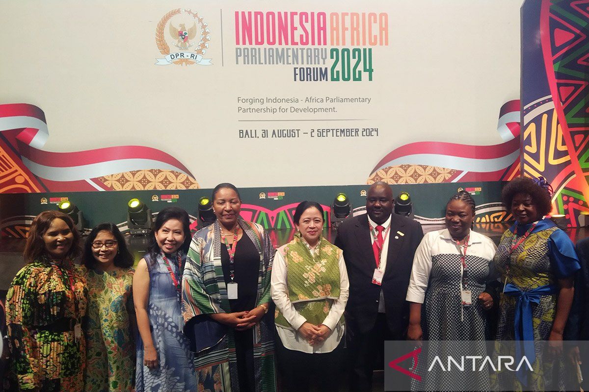 Indonesia committed to strengthening ties with African nations