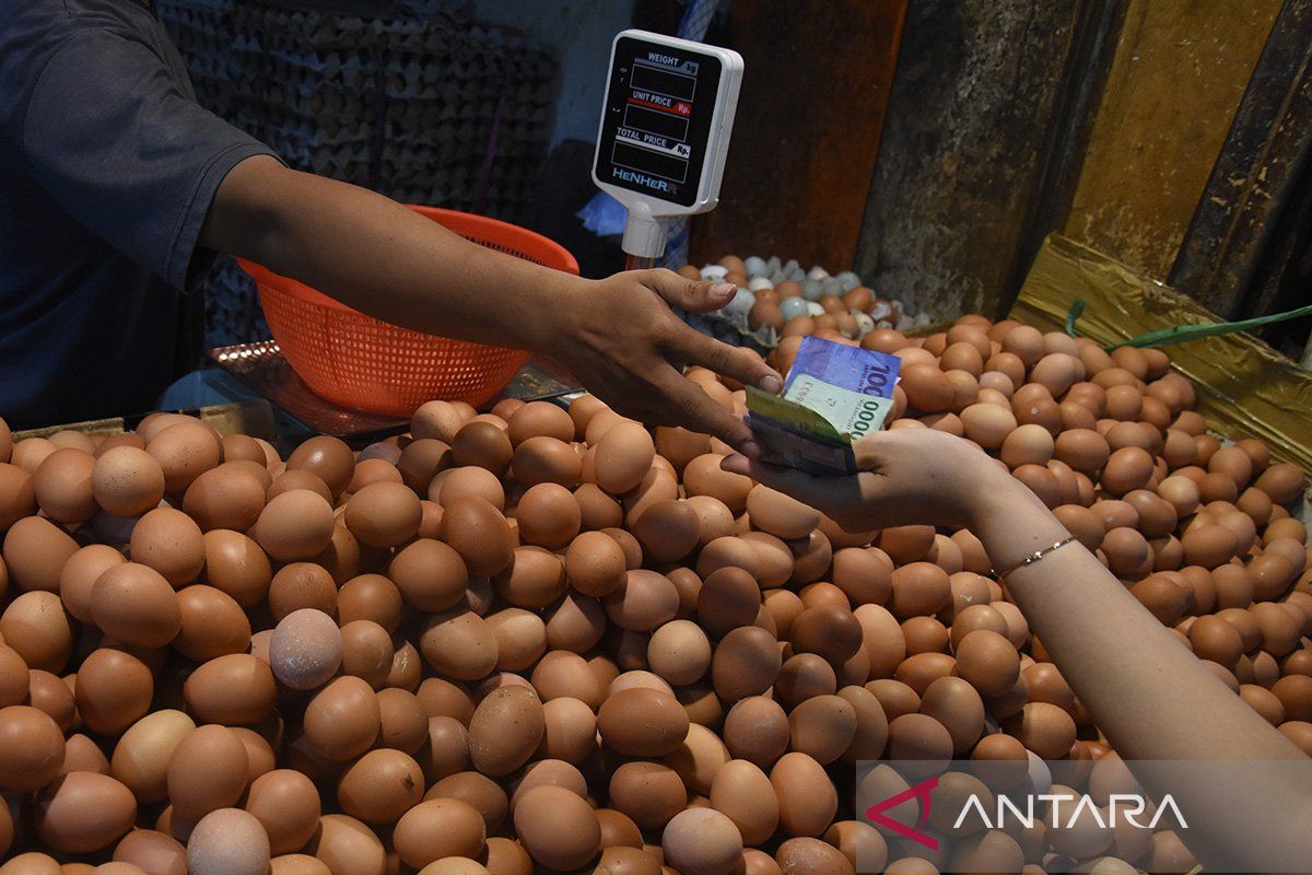 Harga pangan hari ini: Telur ayam ras naik lagi jadi Rp28.610 per kg