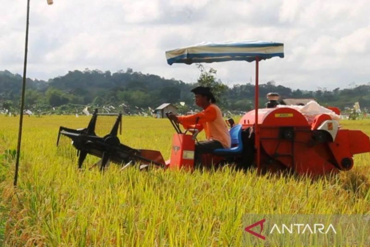 Kementan lakukan perluasan lahan pertanian di Kaltim antisipasi darurat pangan