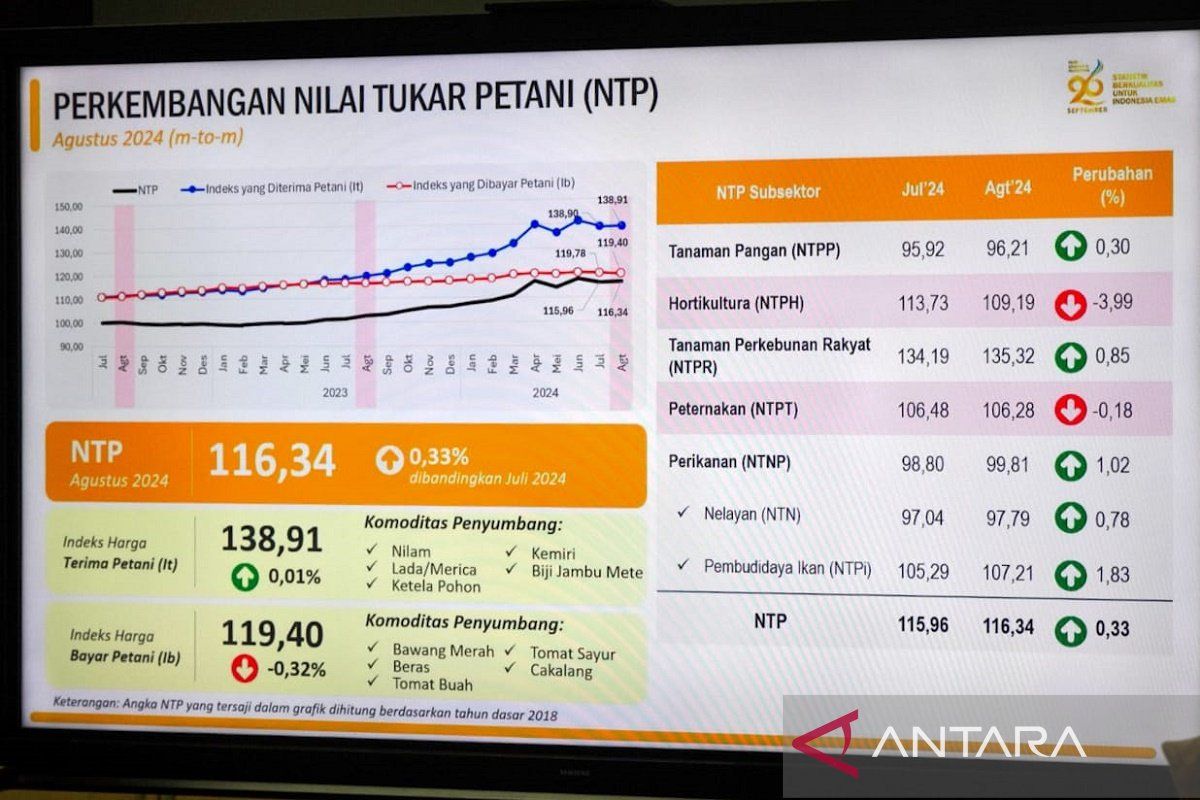 BPS Sebut NTP Sultra naik 0,33 persen di Agustus 2024